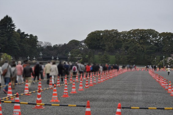 2016年4月2日 春・秋季皇居乾通り一般公開 満開の桜を見てきましたDSC_5572