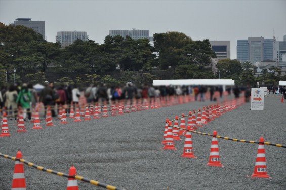 2016年4月2日 春・秋季皇居乾通り一般公開 満開の桜を見てきましたDSC_5578