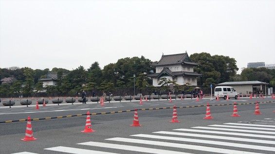 2016年4月2日 春・秋季皇居乾通り一般公開 満開の桜を見てきましたDSC_0790