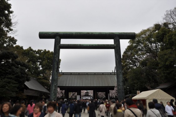 DSC_58052016年4月2日 靖国神社の桜 yasukuni jinjya sakura