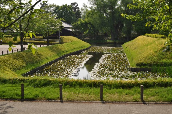 埼玉県富士見市の難波田城公園①（城跡ゾーン）DSC_0071