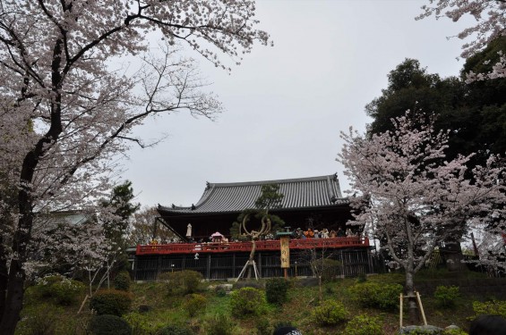 2016年4月2日 東京 上野恩賜公園 上野公園 夜桜 花見 清水観音堂 月の松DSC_5834