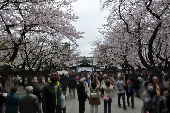DSC_58142016年4月2日 靖国神社の桜 yasukuni jinjya sakura