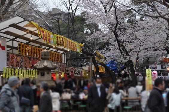 DSC_57912016年4月2日 靖国神社の桜 yasukuni jinjya sakura