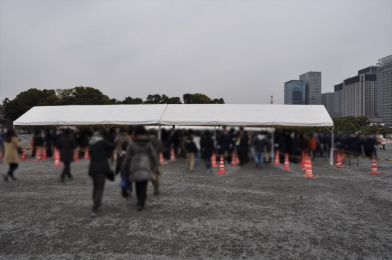 2016年4月2日 春・秋季皇居乾通り一般公開 満開の桜を見てきましたDSC_5582