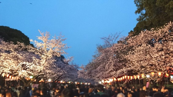 2016年4月2日 東京 上野恩賜公園 上野公園 夜桜 花見DSC_0934