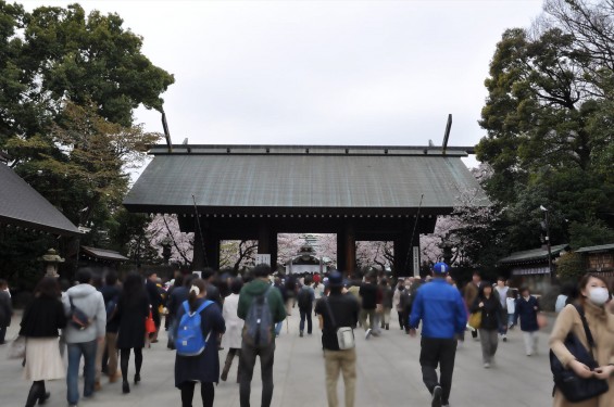 DSC_58102016年4月2日 靖国神社の桜 yasukuni jinjya sakura