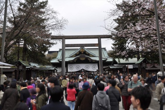 DSC_58222016年4月2日 靖国神社の桜 yasukuni jinjya sakura