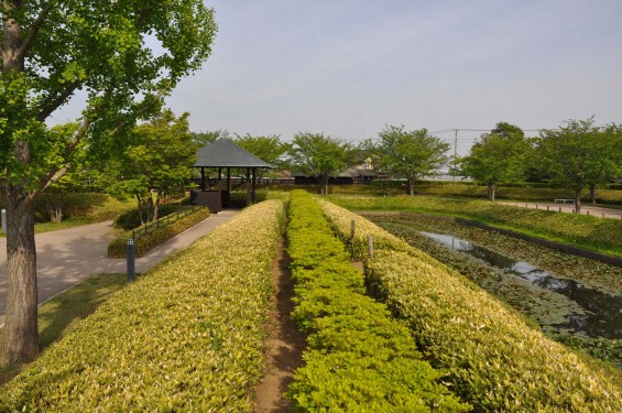 埼玉県富士見市の難波田城公園①（城跡ゾーン）DSC_0143