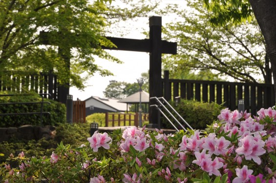 埼玉県富士見市の難波田城公園①（城跡ゾーン）DSC_0067