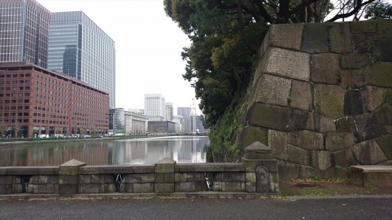 2016年4月2日 春・秋季皇居乾通り一般公開 満開の桜を見てきましたDSC_0788