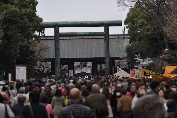 DSC_58032016年4月2日 靖国神社の桜 yasukuni jinjya sakura