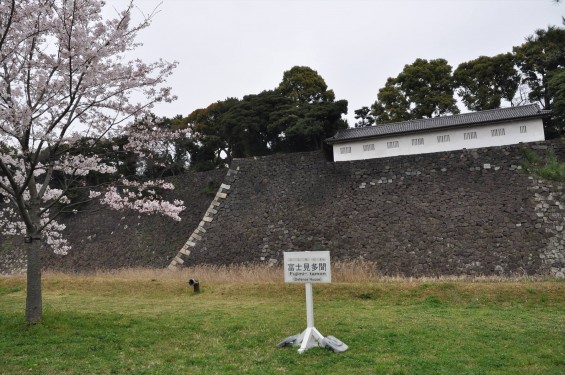 2016年4月2日 春・秋季皇居乾通り一般公開 満開の桜を見てきましたDSC_5604