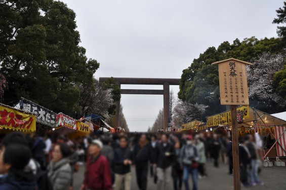 DSC_57792016年4月2日 靖国神社の桜 yasukuni jinjya sakura