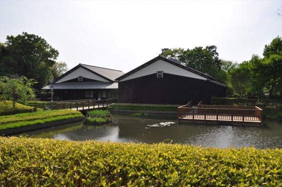 埼玉県富士見市の難波田城公園①（城跡ゾーン）DSC_0077