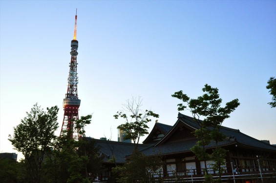 2016年5月 東京タワー 増上寺DSC_6769