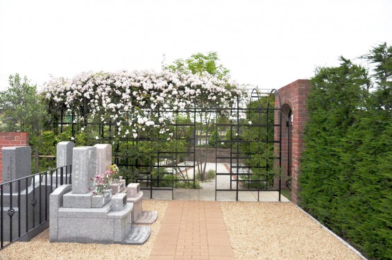 2016年5月 埼玉県の霊園　さきたま霊園樹木葬型永代供養墓の白いバラDSC_7313