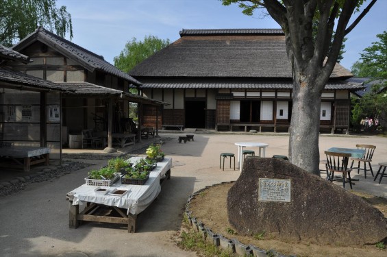 埼玉県富士見市の難波田城公園②（古民家ゾーン）DSC_0107