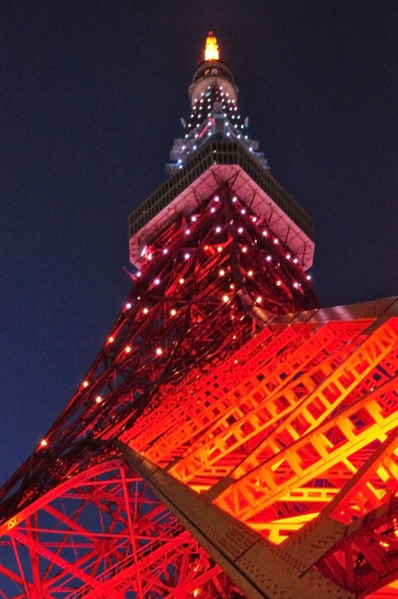 2016年5月 東京タワー 昼間と夜の比較 夜景 見比べ 同位置DSC_6794