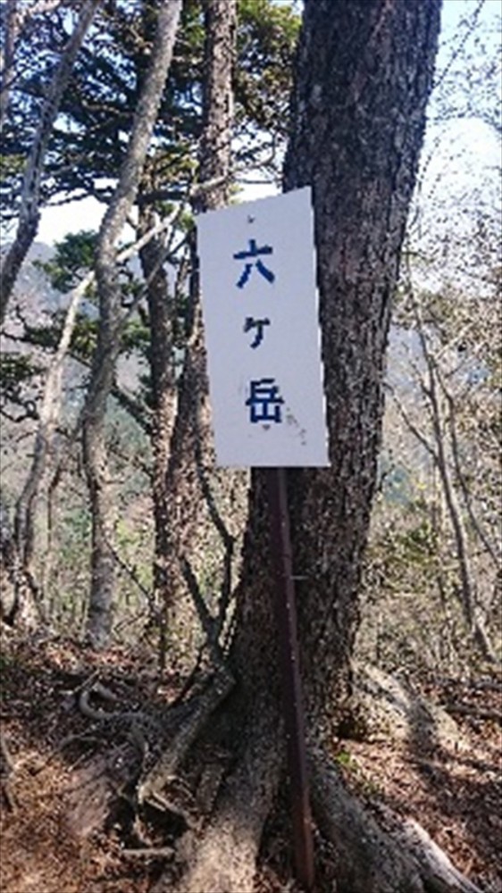 2016年5月 ゴールデンウィークに山梨県の十二ヶ岳に登ってきました10