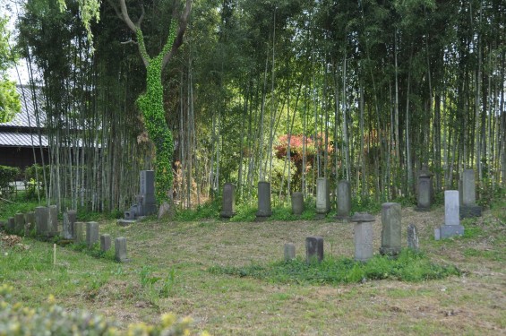 埼玉県富士見市の難波田城公園①（城跡ゾーン）DSC_0139