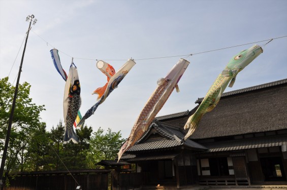 埼玉県富士見市の難波田城公園②（古民家ゾーン）DSC_0115