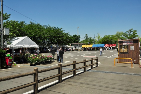 2016年5月 埼玉県伊奈町町制施政記念公園 バラ公園 ばら祭りDSC_7282