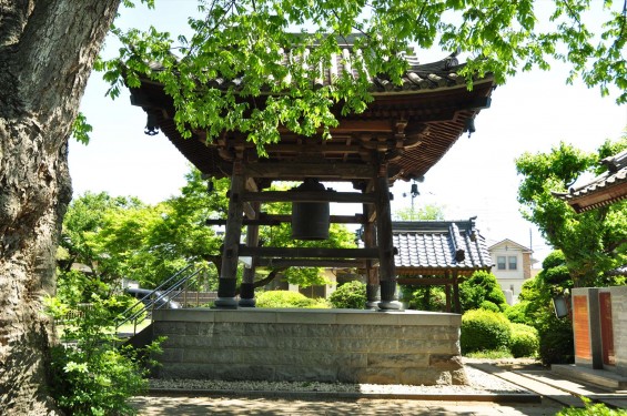 2016年5月8日 埼玉県上尾市の寺院 龍山院DSC_6969