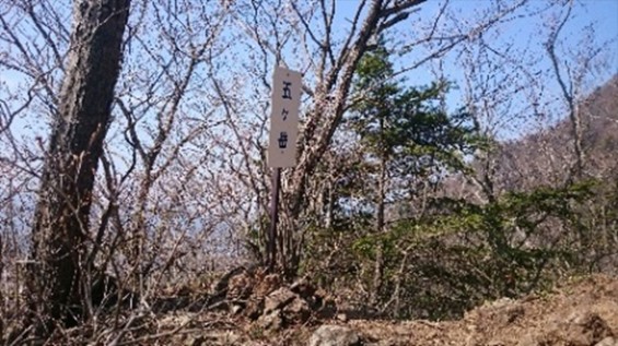 2016年5月 ゴールデンウィークに山梨県の十二ヶ岳に登ってきました09