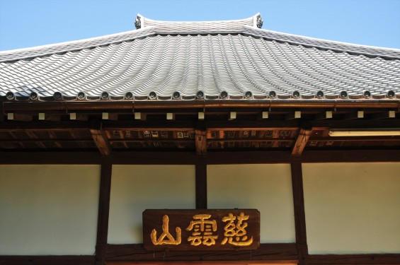 2016年5月8日 埼玉県上尾市の寺院 龍山院DSC_6949