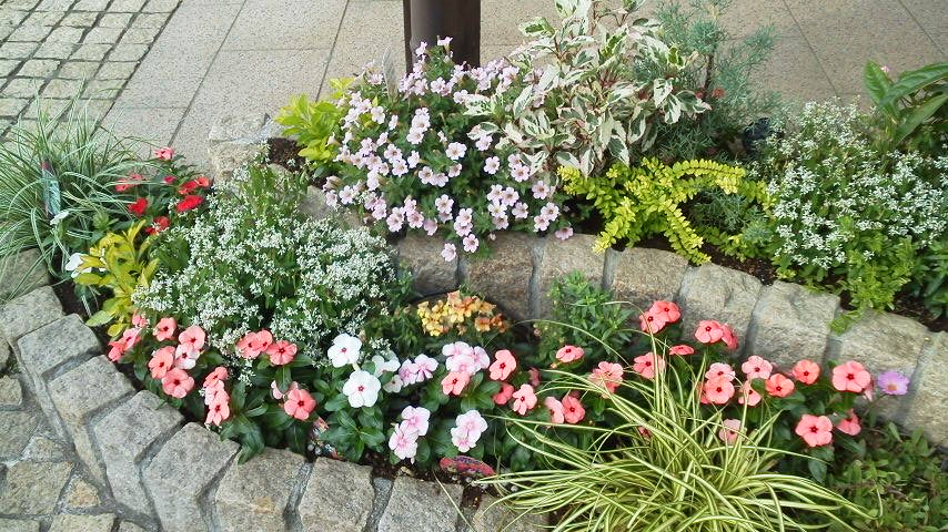 鴻巣霊園の花壇 夏花に植え替えました 霊園とお墓のはなし