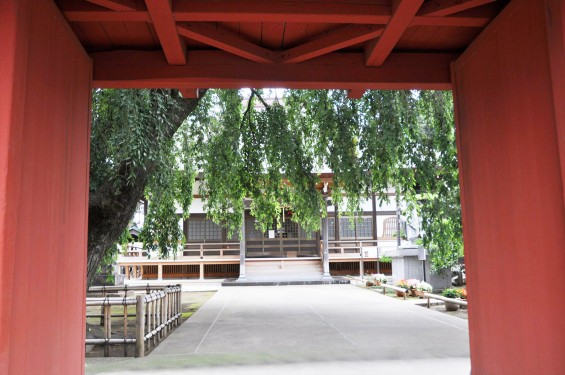 2016年7月20日 埼玉県上尾市の寺院、相頓寺 朱塗りの門DSC_8129
