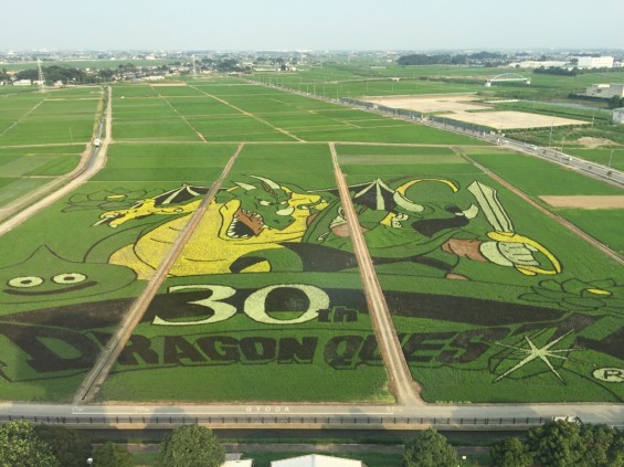 埼玉県行田市のさきたま霊園からほど近い古代蓮の里でドラゴンクエストの田んぼアート！ギネス 2016年7月IMG_1699