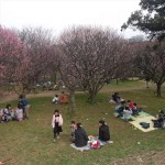 埼玉県越谷市 梅まつり 梅林公園17-03-05-14-59-05-719_photo