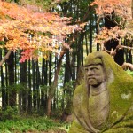 2016年11月28日 埼玉県川口市安行の寺院 興禅院の紅葉DSC_9643