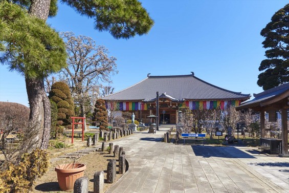 埼玉県上尾市の寺院 遍照院_DSC0051