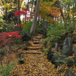 埼玉県川口市安行の寺院 興禅院さまの紅葉 その2 DSC_0024