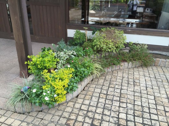 201611 埼玉県の霊園 鴻巣霊園　植栽とお花の植え替えIMG_0061