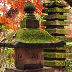 2016年11月28日 埼玉県川口市安行の寺院 興禅院の紅葉DSC_9637