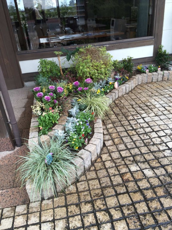 201611 埼玉県の霊園 鴻巣霊園　植栽とお花の植え替えIMG_0085