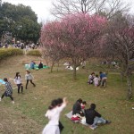 埼玉県越谷市 梅まつり 梅林公園17-03-05-14-59-23-213_photo