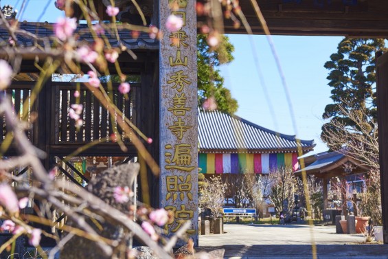 埼玉県上尾市の寺院 遍照院_DSC0036