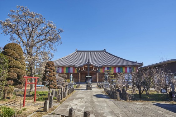 埼玉県上尾市の寺院 遍照院_DSC0068