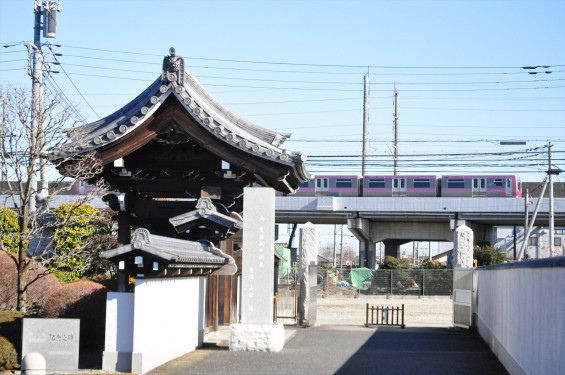 埼玉県伊奈町の寺院 松福寺 しょうふくじDSC_0137 ニューシャトル 通過