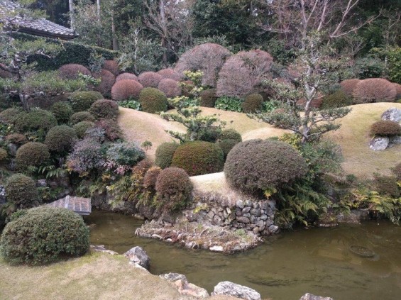 浜松旅行に行ってきました 井伊直虎 ゆかりの地 龍潭寺（りょうたんじ）墓 IMG_20170201_133841