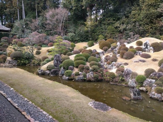 浜松旅行に行ってきました 井伊直虎 ゆかりの地 龍潭寺（りょうたんじ）墓 IMG_20170201_133947