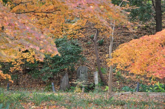 埼玉県川口市安行の寺院 興禅院さまの紅葉 その2 DSC_9991