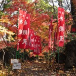 埼玉県川口市安行の寺院 興禅院さまの紅葉 その2 DSC_9963