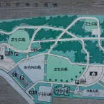 埼玉県越谷市 梅まつり 梅林公園DSC_5918