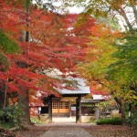 2016年11月28日 埼玉県川口市安行の寺院 興禅院の紅葉DSC_9759